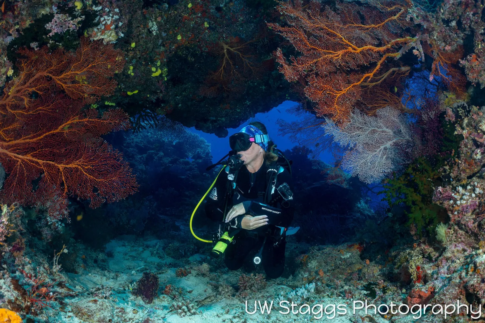 Reef Scene — Bligh Waters, Fiji
