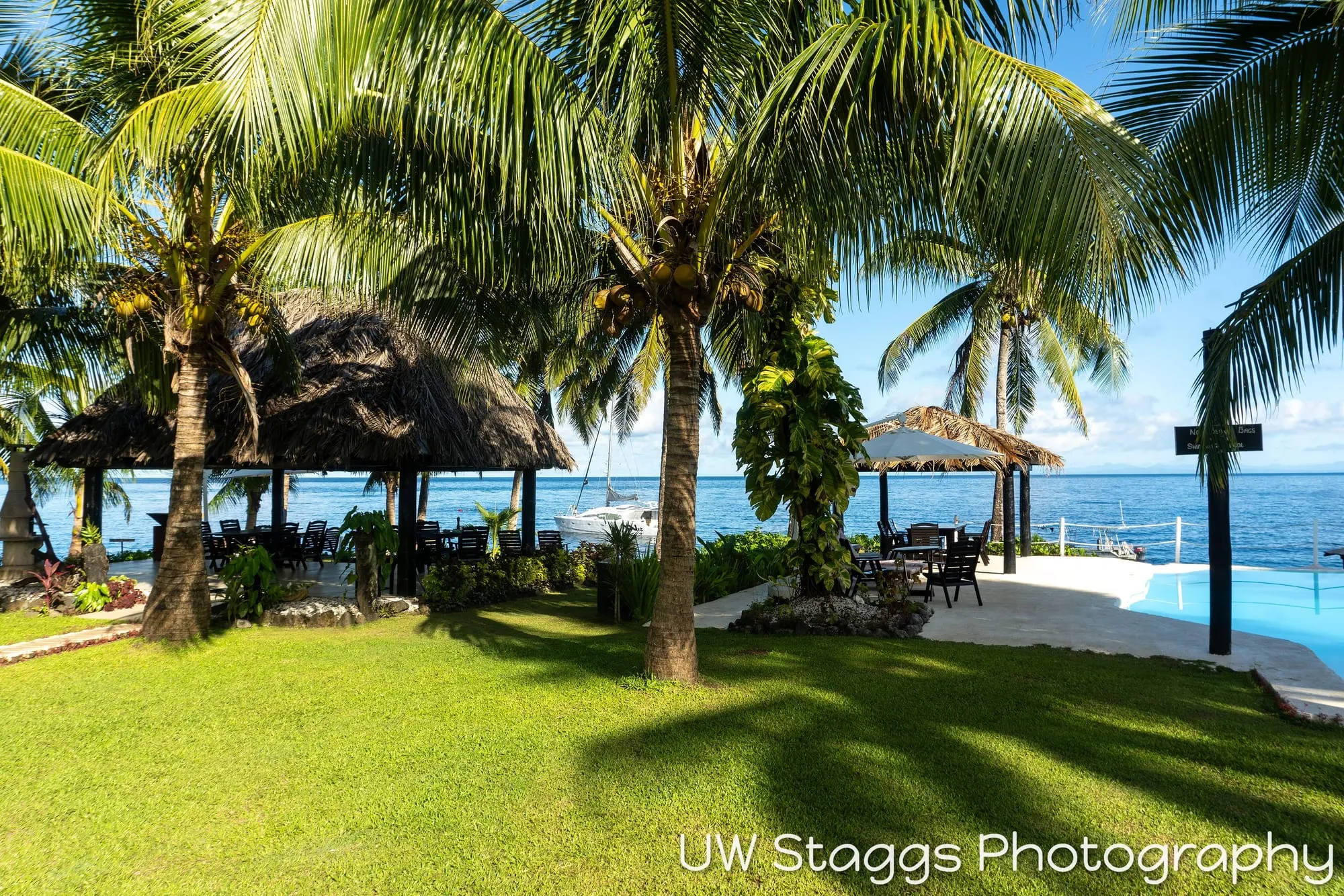 Reef Scene — Taveuni, Fiji