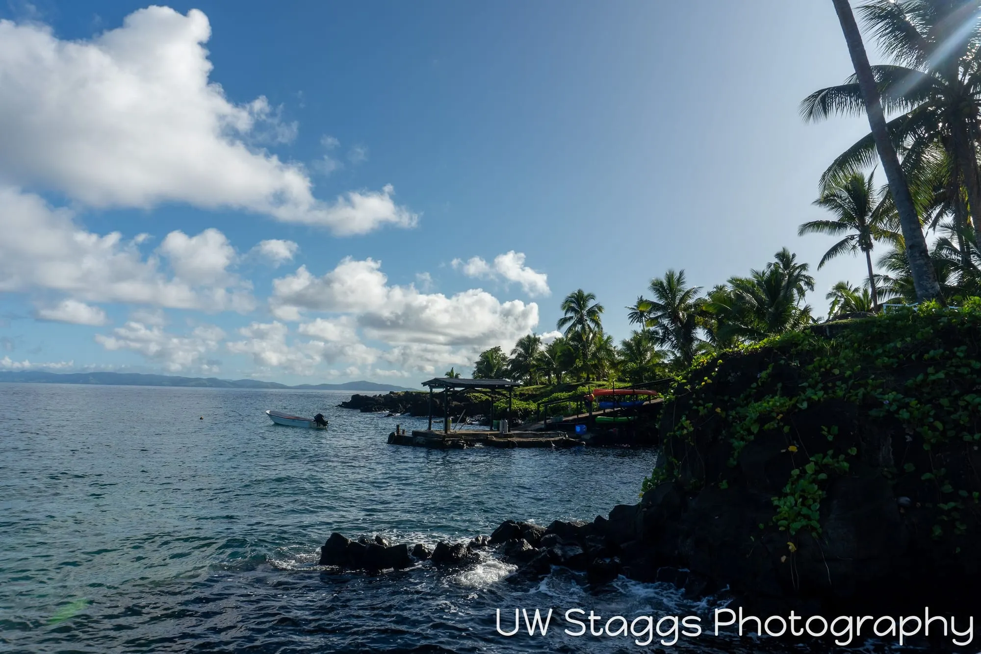 Reef Scene — Taveuni, Fiji