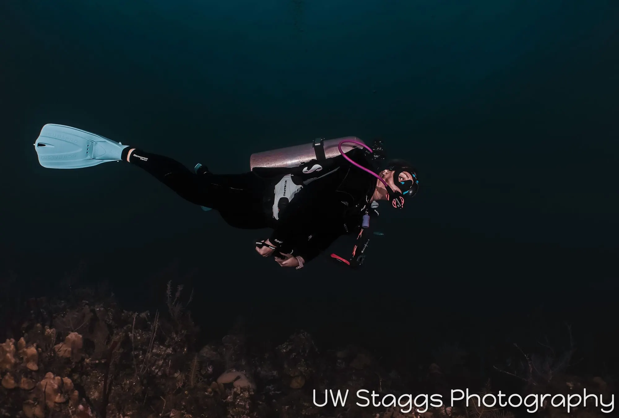 Reef Scene — Gardens of the Queen, Cuba